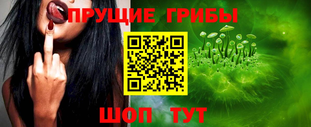 Псилоцибиновые грибы мицелий Кореновск