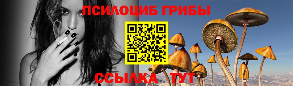 Галлюциногенные грибы прущие грибы  Вход с VPN  Кореновск  Псилоцибиновые грибы мухоморы 